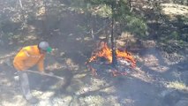 Menteşe'de orman yangını