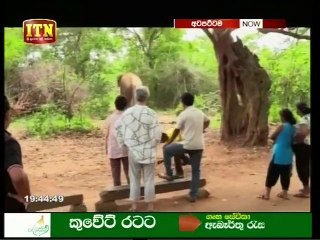 Atapattama 29-05-2019