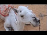 Mauritanie route du sable