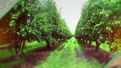 FF-AWTV-reportage montage v1-HD-2Mo