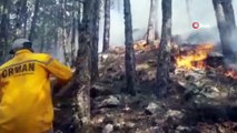 Menteşe bölgesinde orman yangını. Ekiplerin müdahalesi sürüyor
