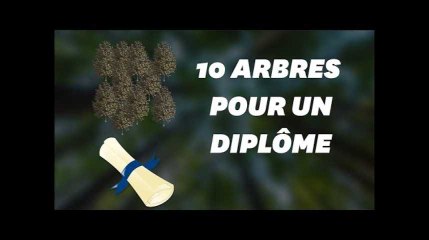 Télécharger la video: Ces étudiants devront planter 10 arbres pour avoir leur diplôme