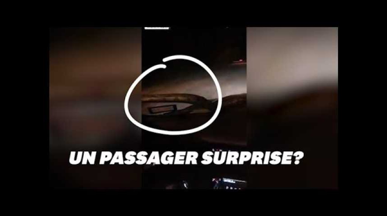 Non, ce n'est pas un essuie-glace sur le pare-brise de cette voiture