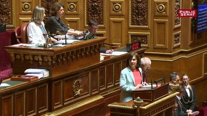 Laurence Rossignol lors du débat sur le cannabis thérapeutique