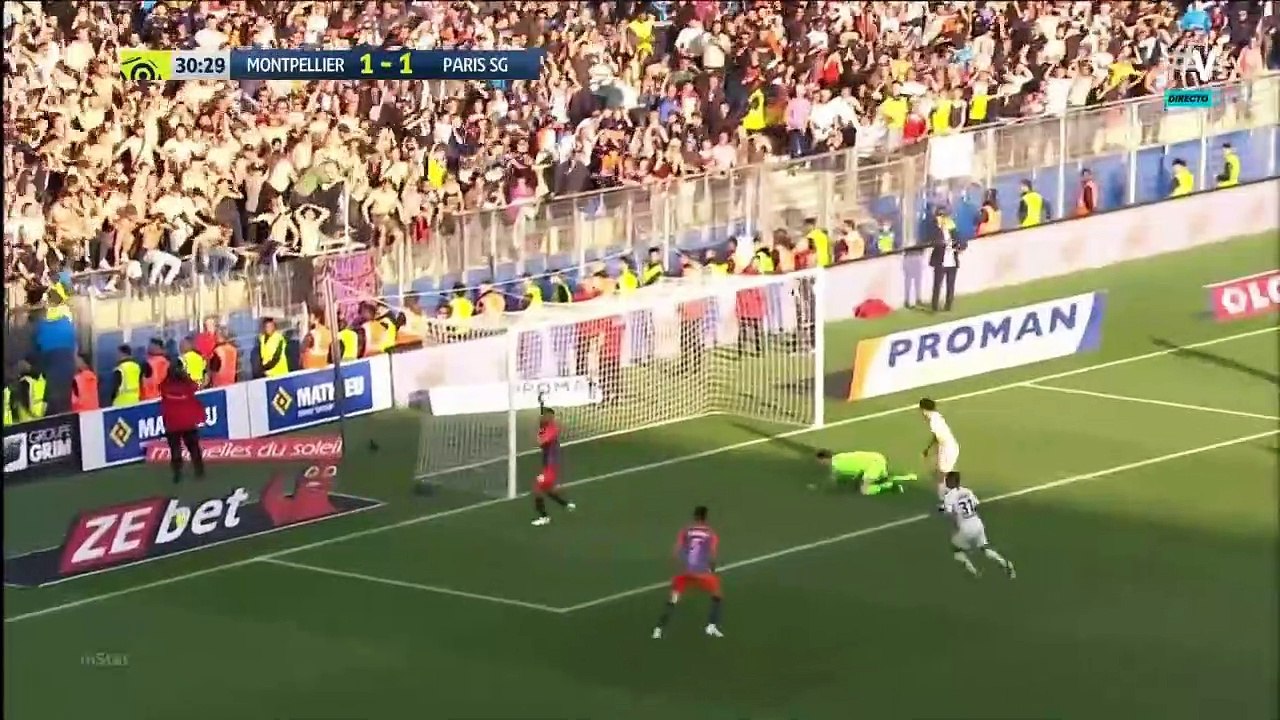 Damien Le Tallec | Highlights 2019