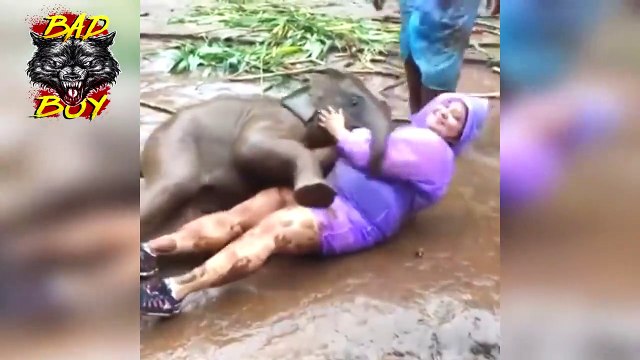 ✅ Videos VIRALES & Tendencias de la Semana -de chisteVIRAL Videos & Trends of the Week - joke