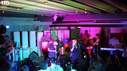 Barbaro Fines Y Su Mayimbe - El Animal