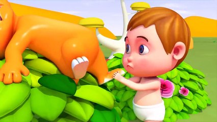 Boong candy play with Animals Outdoor Playground Fun Play Time Toy Scooter For Kids