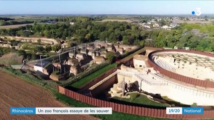 Environnement : un zoo français tente de sauver les rhinocéros
