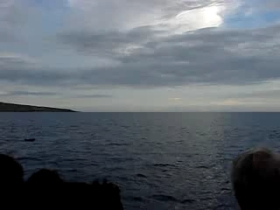 Ile de la Réunion - Dauphins - Séquence 2