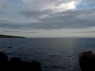 Ile de la Réunion - Dauphins - Séquence 2