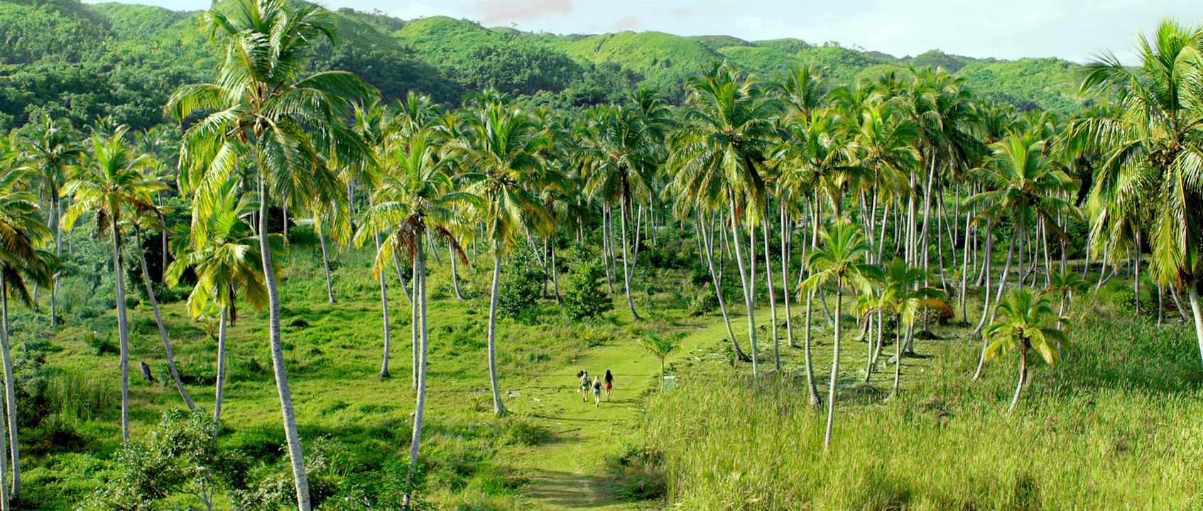 47 METERS DOWN UNCAGED movie - 47 Meters 2