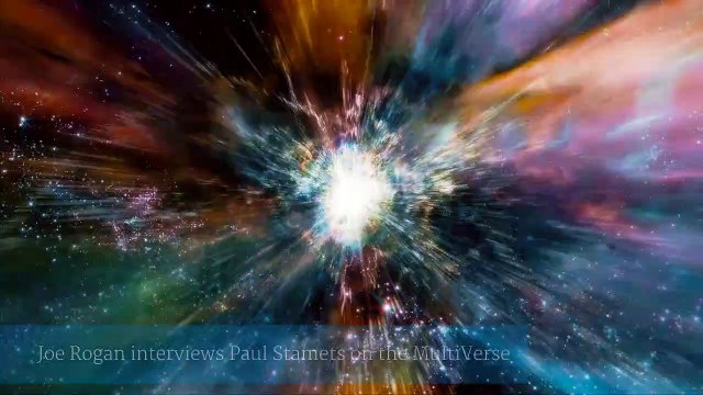 Joe Rogan Paul Stamets Magic Mushrooms MultiVerse
