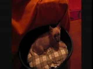 Daeki première grosse fatigue