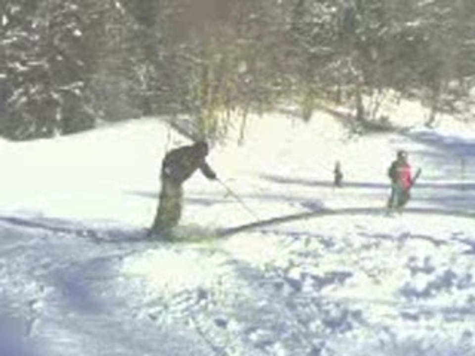 Ski freestyle (slide module noir)