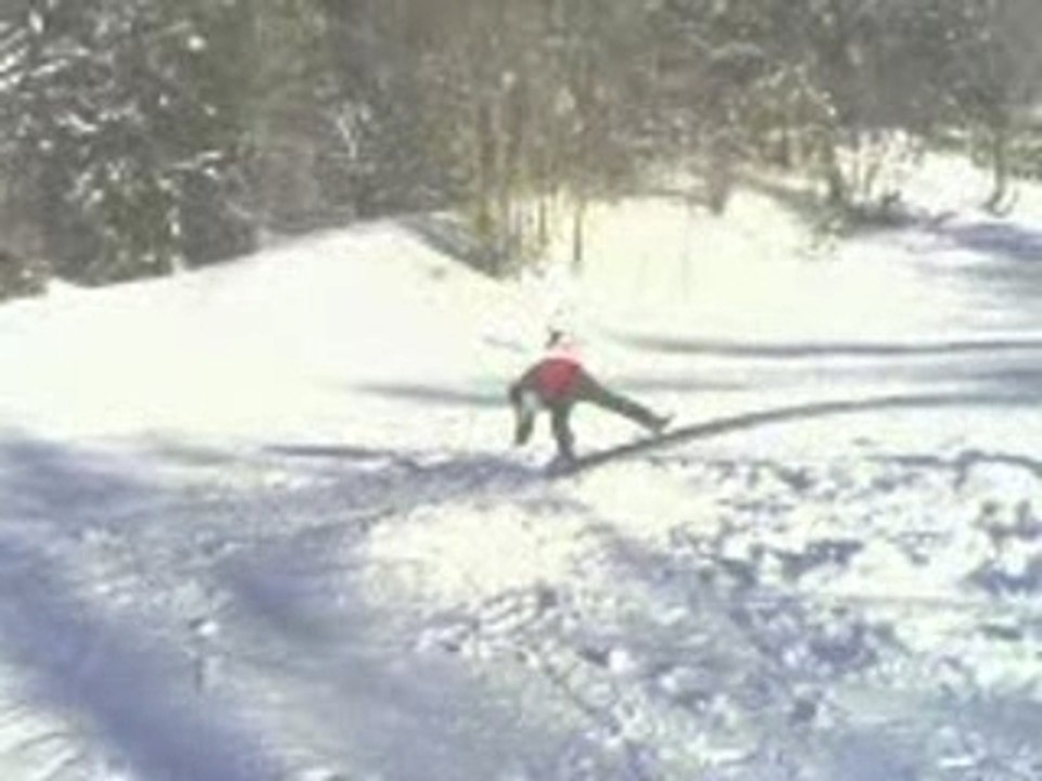 Ski freestyle (slide module noir)