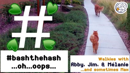 We need to #BashTheHash ...oops... -Walkies with Abby