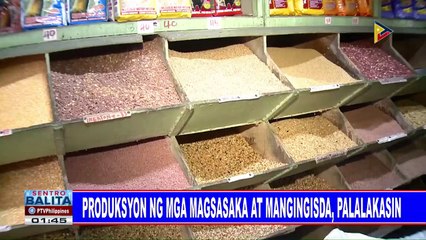 DA: Sagip-Saka Act, malaki ang maitutulong sa mga magsasaka at mangingisda