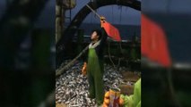 Sweatshops at sea? Indonesian workers report harsh conditions in global fishing industry