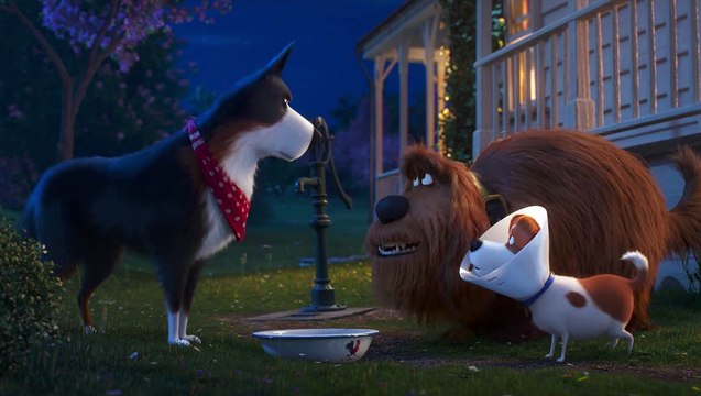 Huisdiergeheimen 2 - Film Clip - Bolster geeft advies