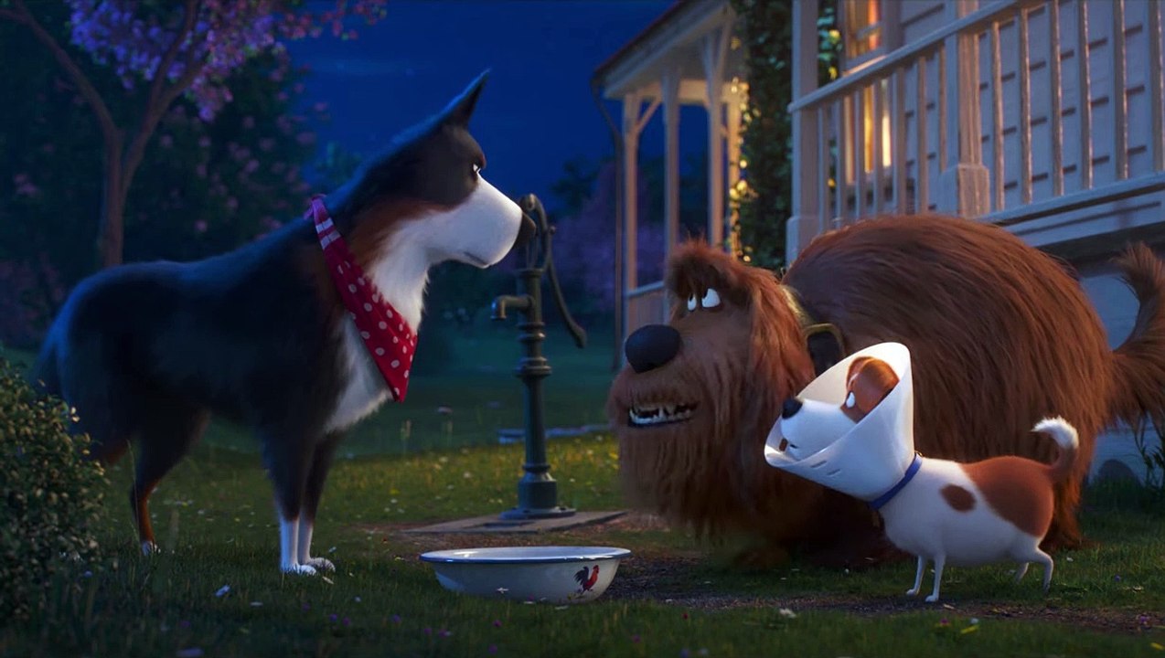 Huisdiergeheimen 2 - Film Clip - Bolster geeft advies