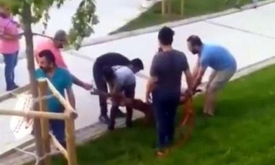 Sultangazi’de pitbull, başka bir köpeğe saldırdı