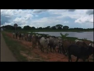 Destinos del Sol: Llanos, Venezuela