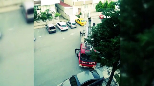 Saksağan yavruları için seferber oldular