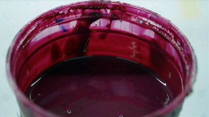 The Proposal Movie Clip - Jill Magid, Luis Barragán