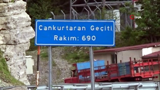 Tünel Yapılınca Eski Karayolu Büyükbaş Hayvanlara Kaldı