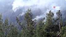 Bilecik'te orman yangını: 2 dekar alan kül oldu