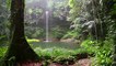 Rainforest Rain, Thunder & Birds | 10 HOURS - 4K, Water Sound for Sleep, Insomnia, Meditation, Relaxing, Study, Rainforest Ambiance