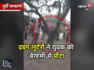 VIDEO: लूटेरों का पता बताना पड़ा महंगा, पेड़ से बांधकर ऐसे हुई पिटाई
