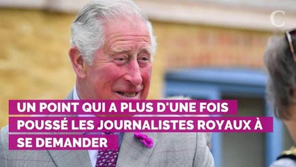 Le prince Charles n'est pas "si stupide" et sait que lorsqu'il sera roi il devra mettre de côté ses idées politiques