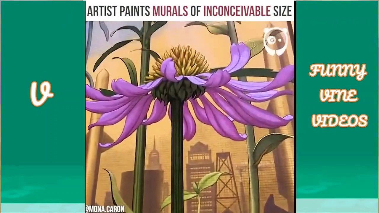 Vine video compilation of the best in 2019_064