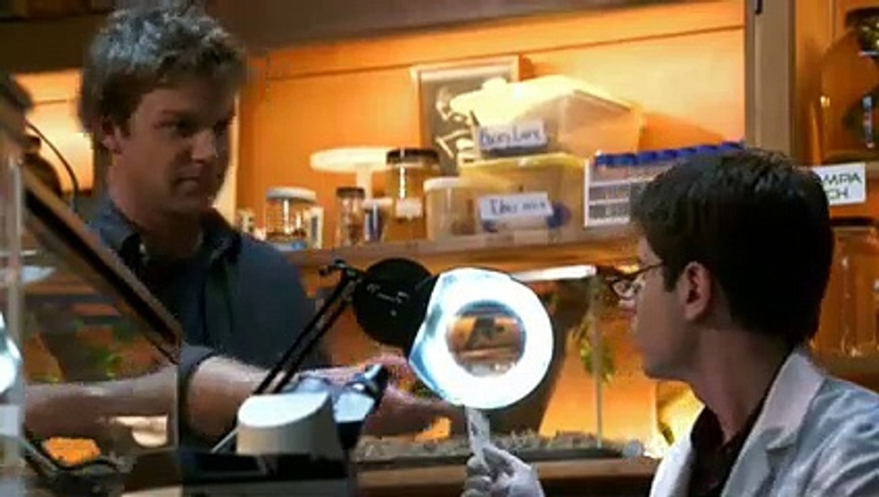 The Glades S1E01 video Dailymotion