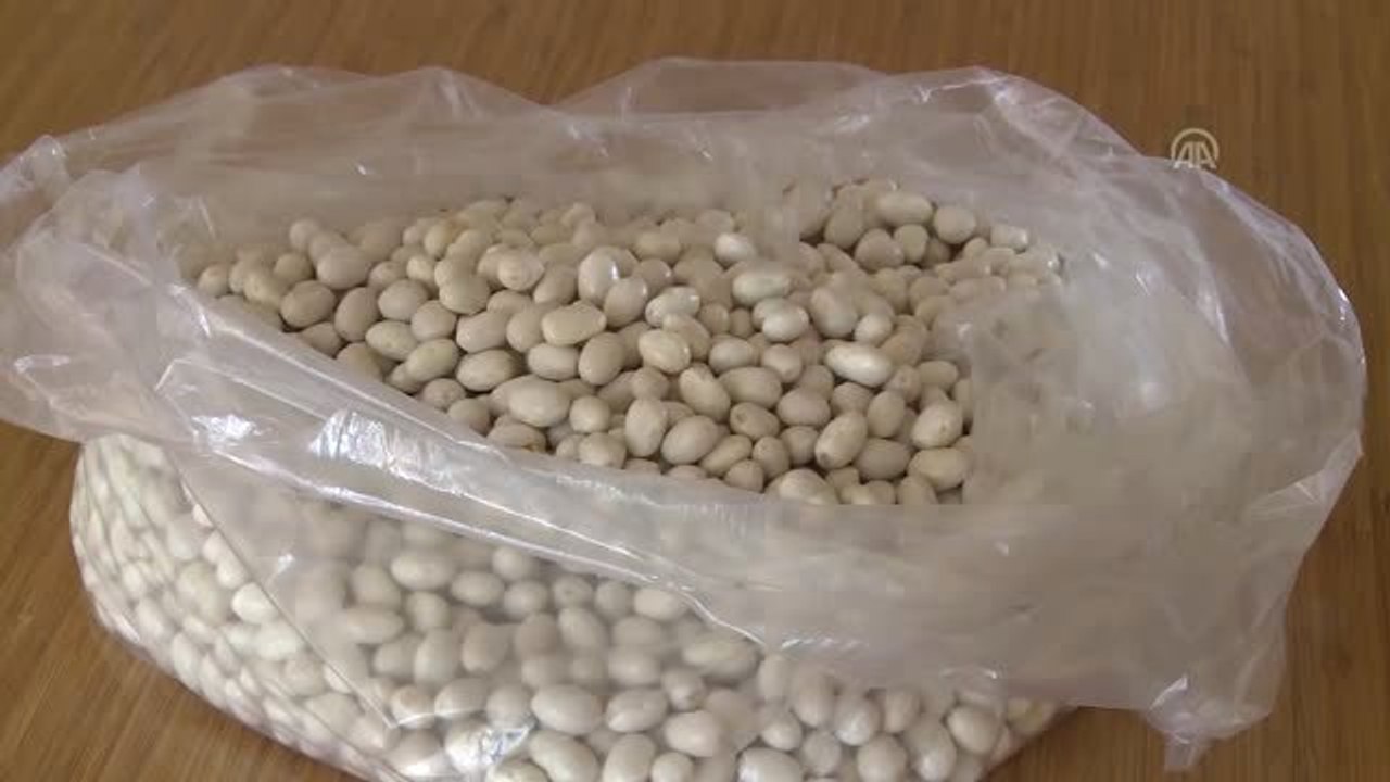 Tescilli Akkuş fasulyesinde rekolte hedefi 2 bin ton