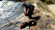 Rescatado un perro que llevaba varios días atrapado en una balsa de riego en Tabernas