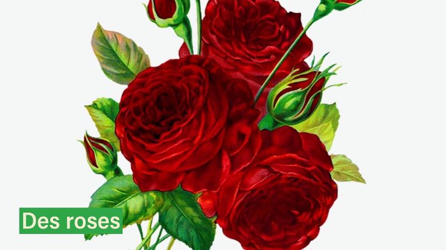 APPRENONS LES COULEURS