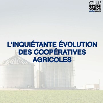 L’inquiétante évolution des coopératives agricoles