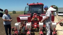Silivri’de “Milli Tarım Yerli Tohum Deneme Ekimleri” devam ediyor