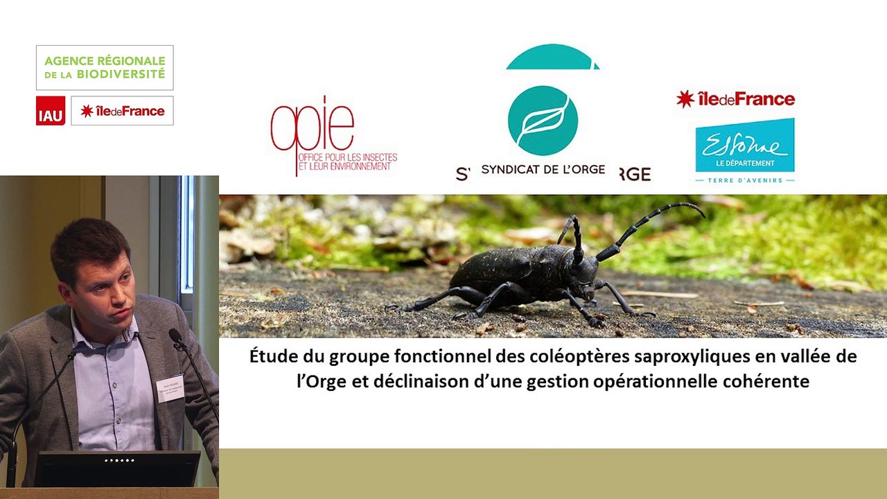 17  - Lucile FERRIOT et Xavier HOUARD - Rencontre technique "Continuités écologiques et forêts" 2019