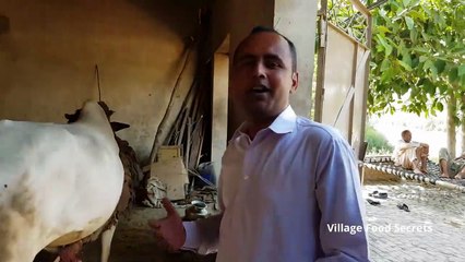 Kohlu Ka Tail - Mustard Oil Mill - Primitive Technology - Mubashir Saddique - Village Food Secrets