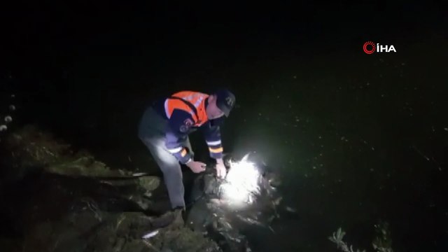 Kaçak avlanan 5 ton inci kefali tekrar suya bırakıldı