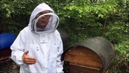 Un mois de mai meurtrier pour les abeilles