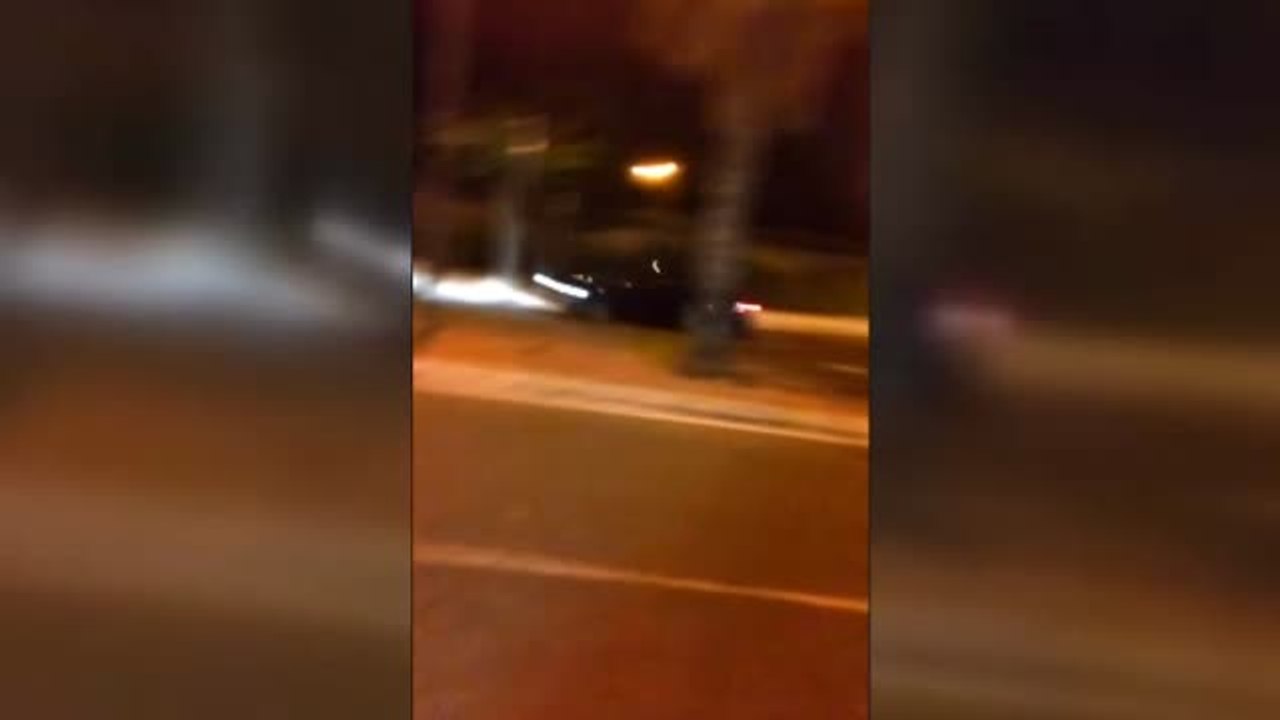 Impactante impacto de un coche contra una palmera en una competición ilegal