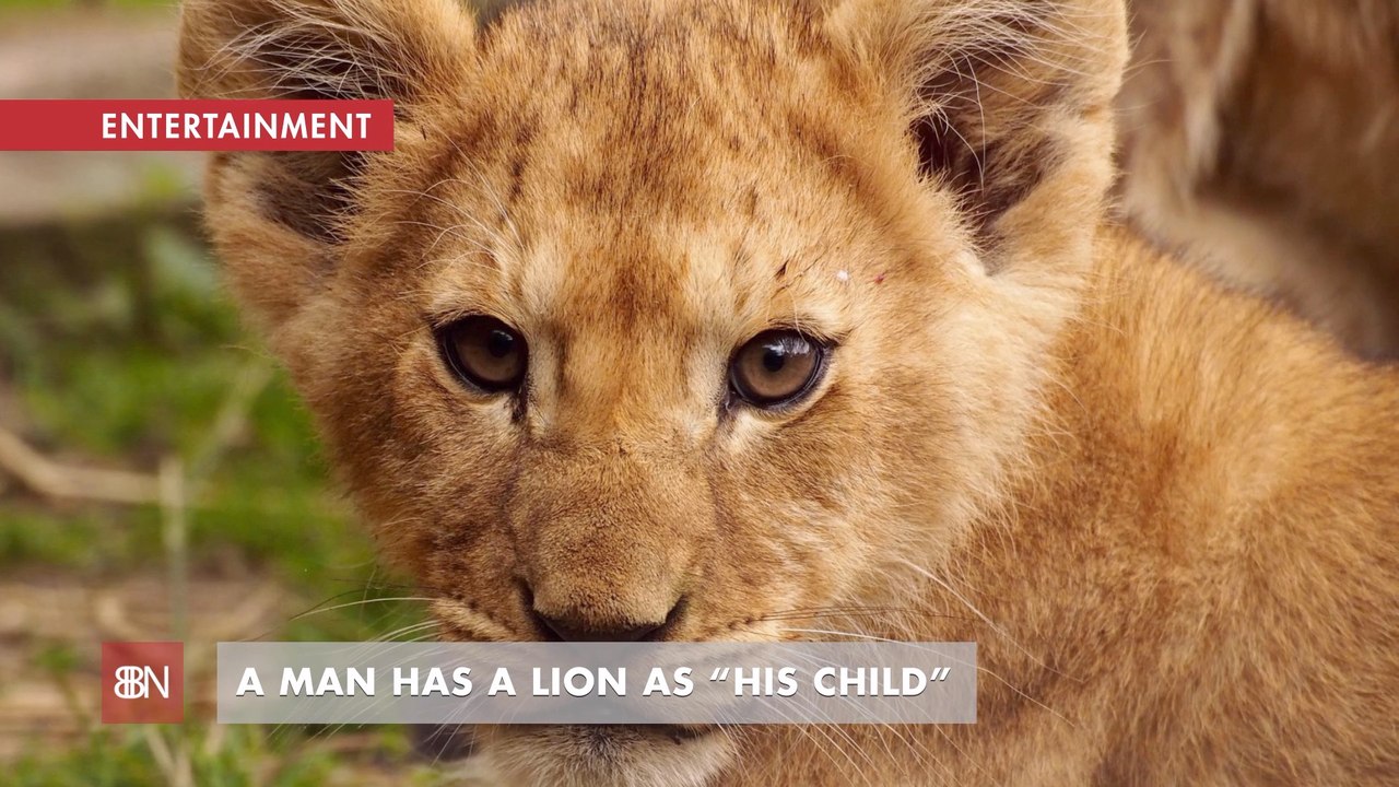 People Love Their Pets Even When They're Massive Predators With Fangs