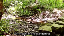 Auf großer Tour den Natursteig Sieg entlang 08 – 2