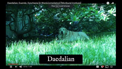 American Translation,크르르릉, Topophobia, Festinate [A Screenshot Compilation]