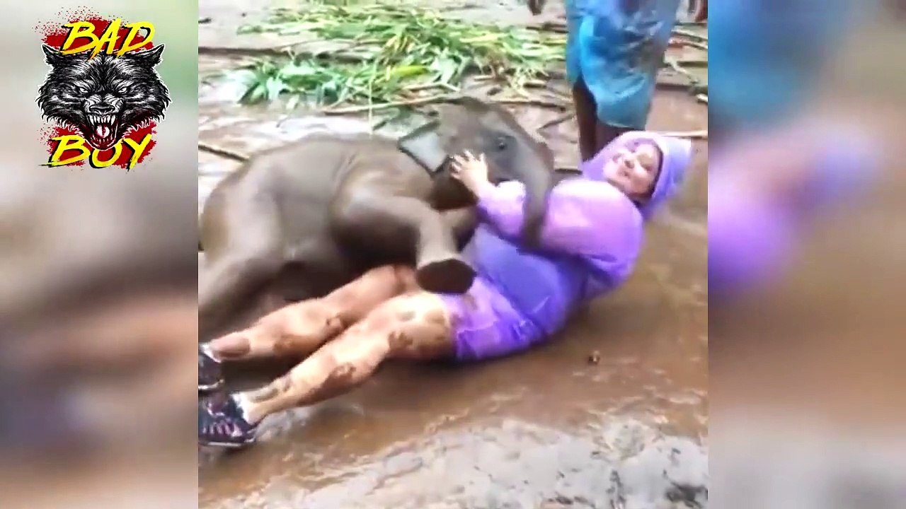 ✅ LOS MEJORES VIDEOS VIRALES & Tendencias de la Semana , LOA MEJORES VIDEOS VIRALES & Tendencias de la Semana